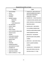 Prakses atskaite 'Valsts profesionālā prakse sociālās palīdzības organizēšanā', 20.