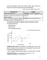 Konspekts 'Stratēģija inovatīvajā jomā', 4.