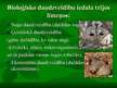 Prezentācija 'Biodaudzveidība', 3.
