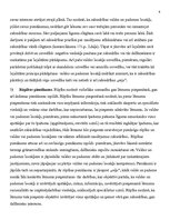 Referāts 'Valdes locekļa atbildība', 9.