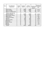 Konspekts 'SIA "Mobil Auto" - biznesa plāns (finanšu tabula)', 5.