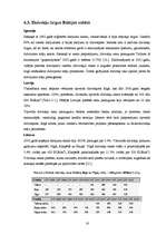 Referāts 'Nekustamā īpašuma tirgus izveidošana un attīstīšana Latvijā', 16.