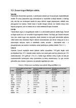 Referāts 'Nekustamā īpašuma tirgus izveidošana un attīstīšana Latvijā', 21.