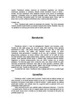 Referāts 'Tasmānijas velns', 3.