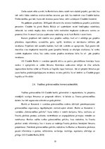 Prakses atskaite 'Prakses pārskats AS "Citadele Banka"', 19.