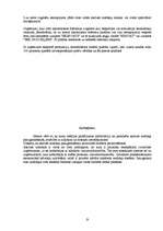 Referāts 'Akcīzes nodoklis', 9.