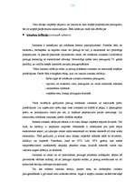 Referāts 'Inflācija Latvijā', 10.