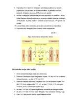 Referāts 'Biržas darba organizācija', 16.