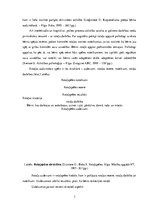 Referāts 'Rotaļu raksturojums un nozīme pirmsskolā', 3.