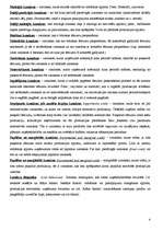 Konspekts 'Vadības grāmatvedība', 4.