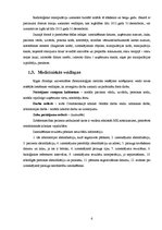 Referāts 'Dokumentācija zobārstniecības kabinetā', 6.