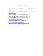 Referāts 'Rīgas tiltu saimnieciskā, politiskā un ekonomiskā nozīme', 13.