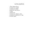 Biznesa plāns 'SIA "Liesmiņa"', 2.