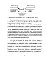 Diplomdarbs 'Eiropas fondu piesaiste', 11.