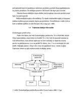 Diplomdarbs 'Eiropas fondu piesaiste', 13.