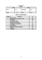 Biznesa plāns 'Biznesa plāns SIA "Kalvei"', 12.