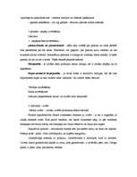 Konspekts 'Mārketings. Pirkuma izvēle', 5.