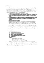 Konspekts 'Ekonomikas izaugsme un makroekonomikas nestabilitāte', 4.