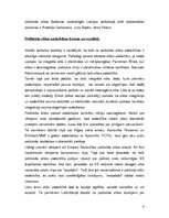 Eseja 'Politiskās elites-sadarbība un konflikti', 4.