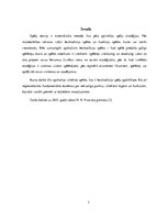 Konspekts 'Izliektas spēles', 7.