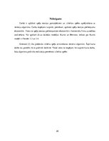 Konspekts 'Izliektas spēles', 28.