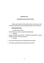 Prezentācija 'Ēšanas traucējumu izplatība pusaudžu vidū', 12.