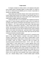 Prakses atskaite 'Pārskats par lauka kursu. Zemes zinātnes', 17.