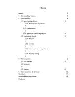 Referāts 'Grāmatvedības bilances saturs, bilances posteņi un to izmaiņas', 2.