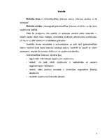 Referāts 'Grāmatvedības bilances saturs, bilances posteņi un to izmaiņas', 3.