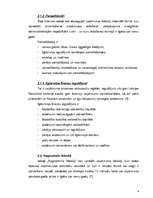 Referāts 'Grāmatvedības bilances saturs, bilances posteņi un to izmaiņas', 6.