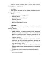 Referāts 'Grāmatvedības bilances saturs, bilances posteņi un to izmaiņas', 7.