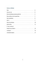 Referāts 'Riski IT', 2.