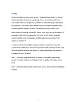 Referāts 'Riski IT', 3.