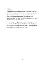 Referāts 'Riski IT', 26.