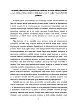 Eseja 'Identitātes politika un liberālās politikas teorijas piemērojamība postkomunisti', 2.