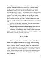 Referāts 'Bolīvija', 4.