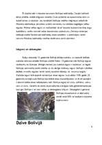 Referāts 'Bolīvija', 5.