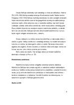 Referāts 'Bolīvija', 6.