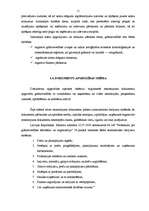 Referāts 'Grāmatvedības organizācijas sistēma SIA S un tās pilnveidošanas iespējas', 11.