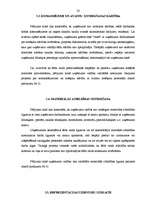 Referāts 'Grāmatvedības organizācijas sistēma SIA S un tās pilnveidošanas iespējas', 23.