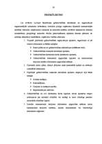 Referāts 'Grāmatvedības organizācijas sistēma SIA S un tās pilnveidošanas iespējas', 26.