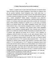 Diplomdarbs 'Piedziņas vēršanas uz nekustamo īpašumu problemātika ', 26.