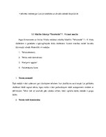 Referāts 'Ievads valodniecībā', 7.