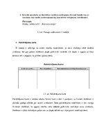 Referāts 'Ievads valodniecībā', 9.