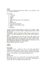 Konspekts 'Ķīna un tradicionālā virtuve', 10.