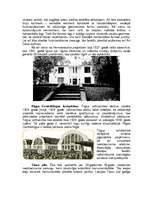 Referāts 'Arhitektūra Baltijas valstīs 20.gs. 20.-30.gados', 3.