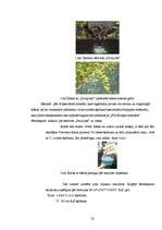 Referāts 'Jūrmalas minerālūdens ķīmiskais sastāvs', 21.