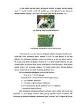 Referāts 'Jūrmalas minerālūdens ķīmiskais sastāvs', 22.