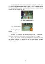 Referāts 'Jūrmalas minerālūdens ķīmiskais sastāvs', 24.