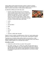 Konspekts 'Lietišķā etiķete Itālijā', 2.